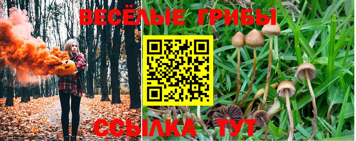 Псилоцибиновые грибы MAGIC MUSHROOMS Печора