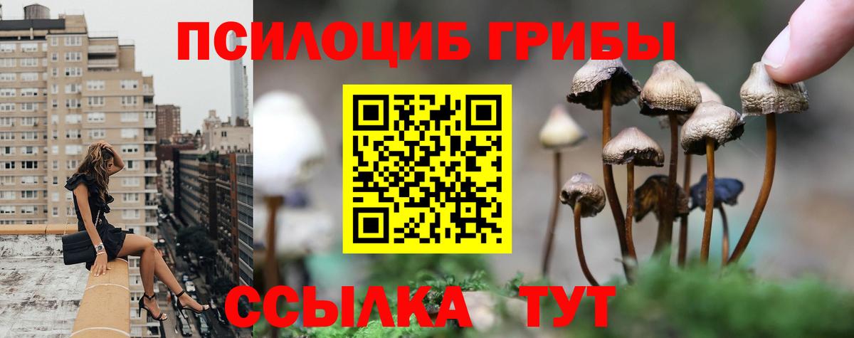 Псилоцибиновые грибы Cubensis  наркошоп  Псилоцибиновые грибы GOLDEN TEACHER  Печора  Вход с VPN 